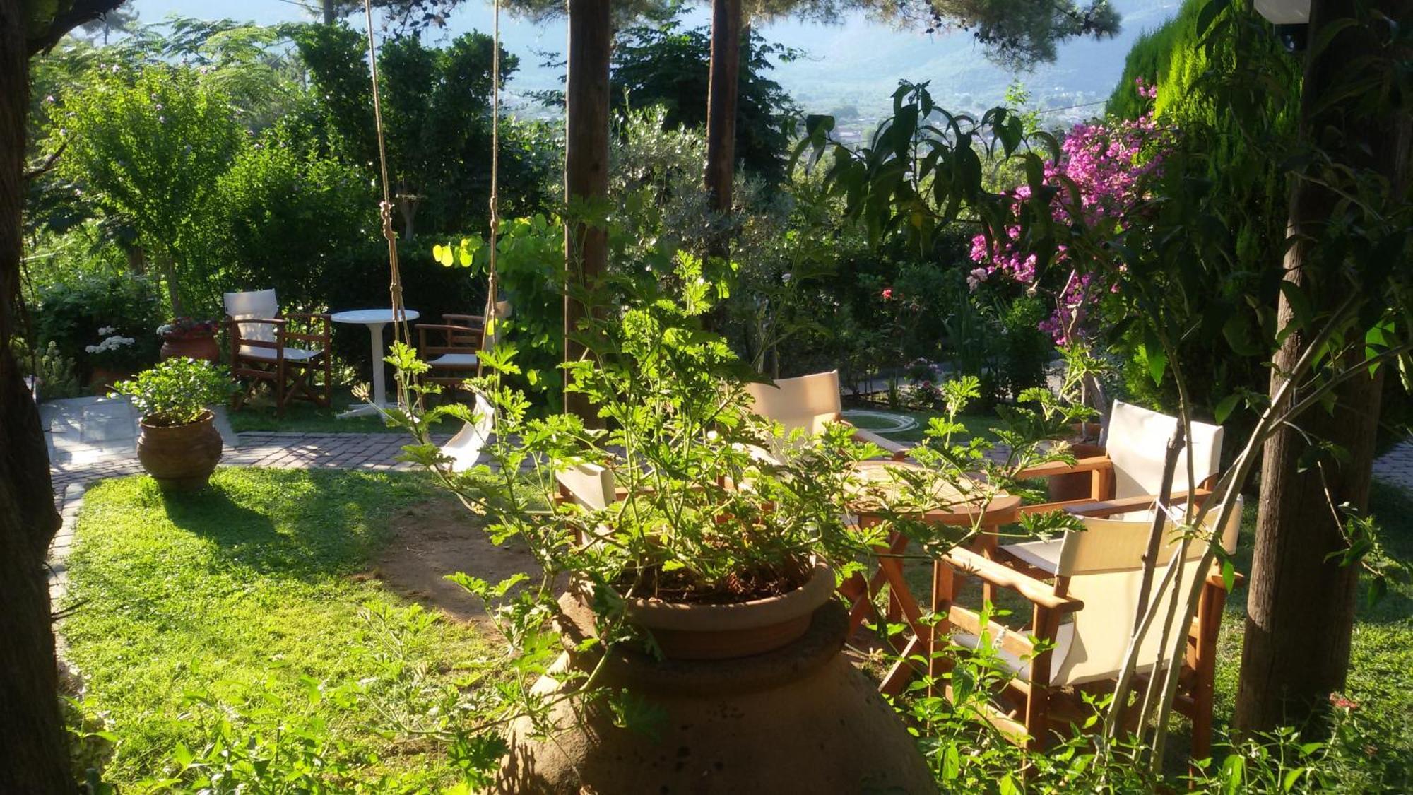 Villa Dimitra Skala Potamia  Dış mekan fotoğraf