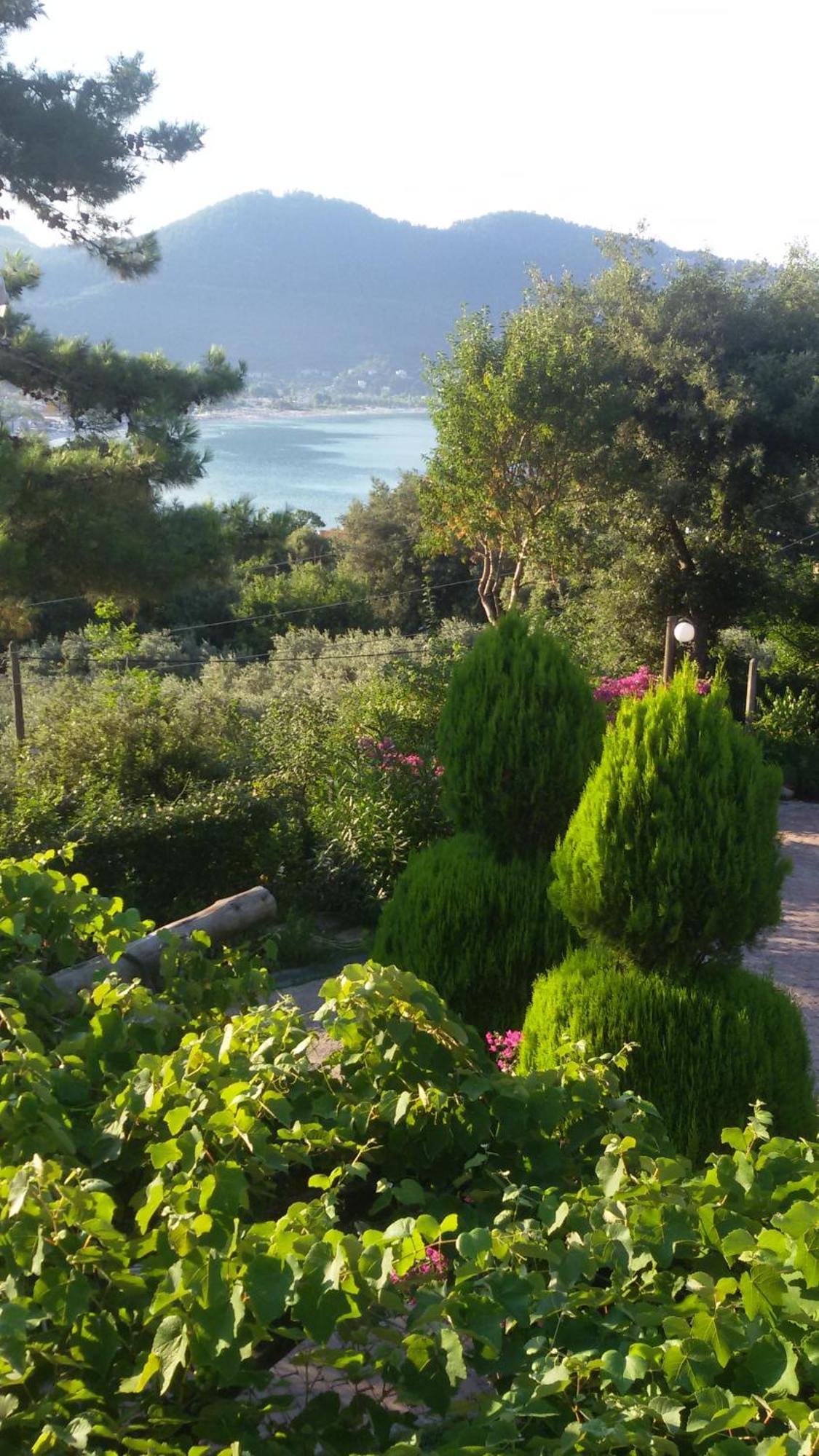 Villa Dimitra Skala Potamia  Dış mekan fotoğraf