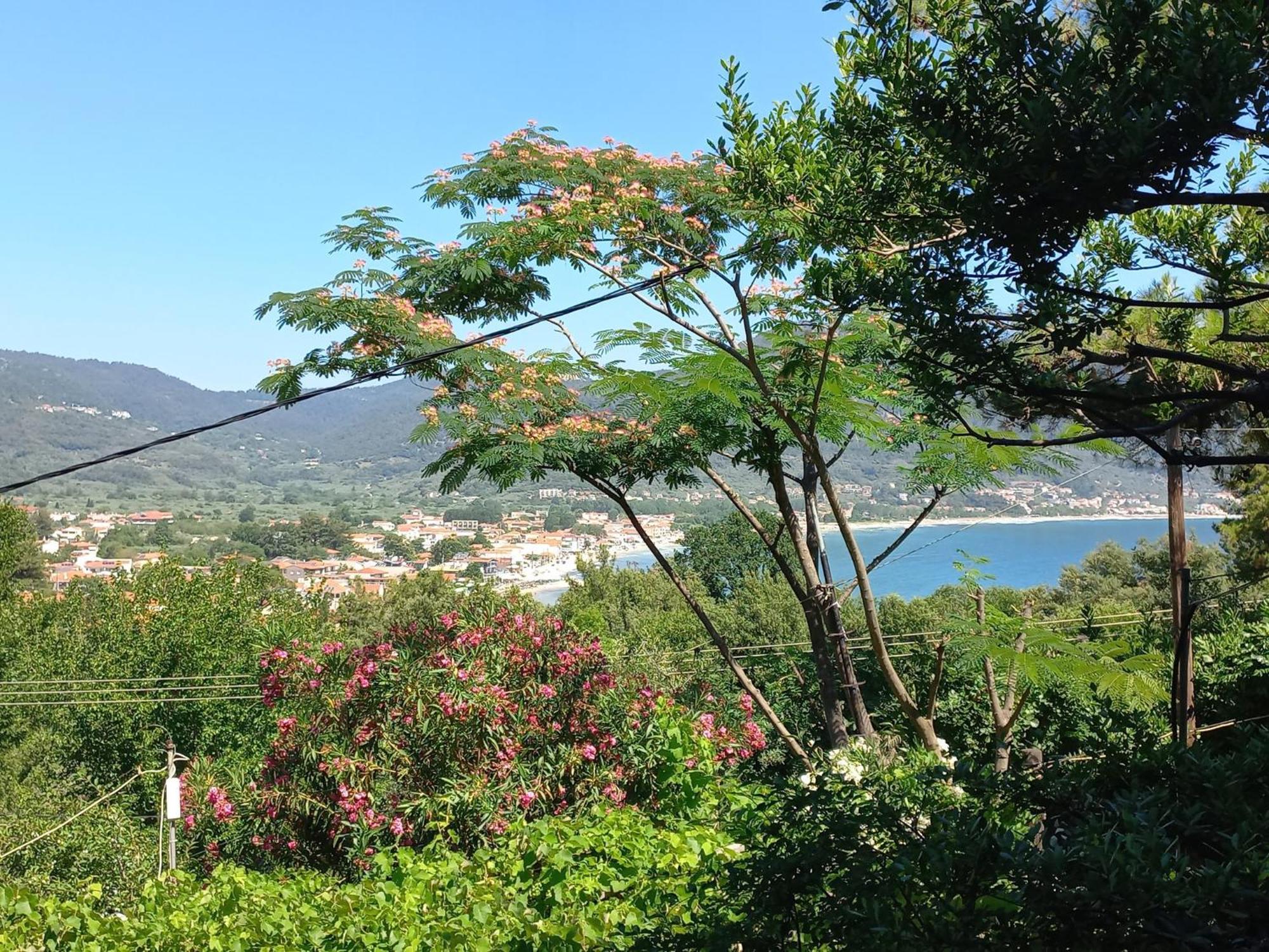 Villa Dimitra Skala Potamia  Dış mekan fotoğraf