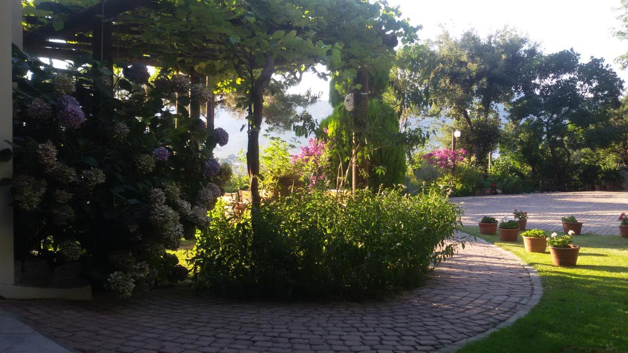 Villa Dimitra Skala Potamia  Dış mekan fotoğraf