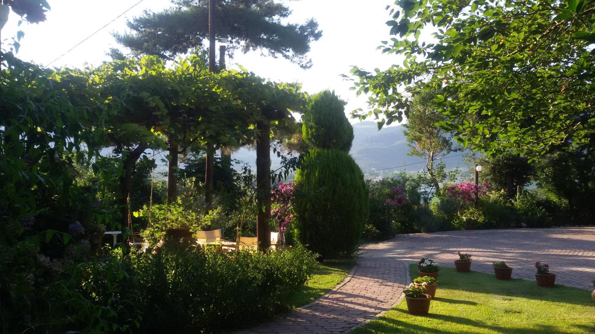 Villa Dimitra Skala Potamia  Dış mekan fotoğraf