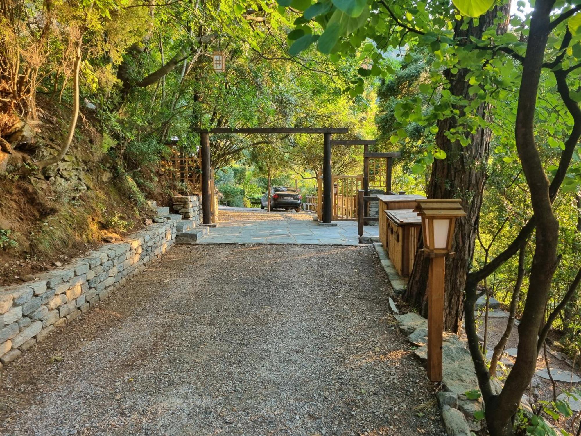 Villa Dimitra Skala Potamia  Dış mekan fotoğraf